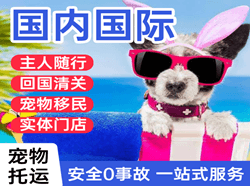 嫩江墨尔根空运地址国际宠物托运 【国